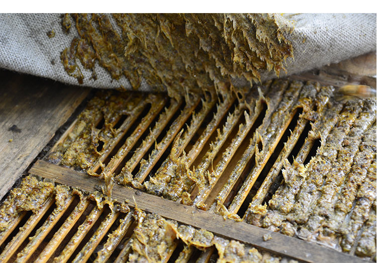 蜂胶原胶天然蜂胶纯毛胶蜂农自产自销木框采集不含重金属50克每一袋