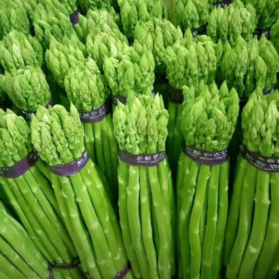 芦笋 新鲜芦笋 鲜芦笋春笋绿笋青笋龙须菜新鲜蔬菜 1斤新鲜青芦笋