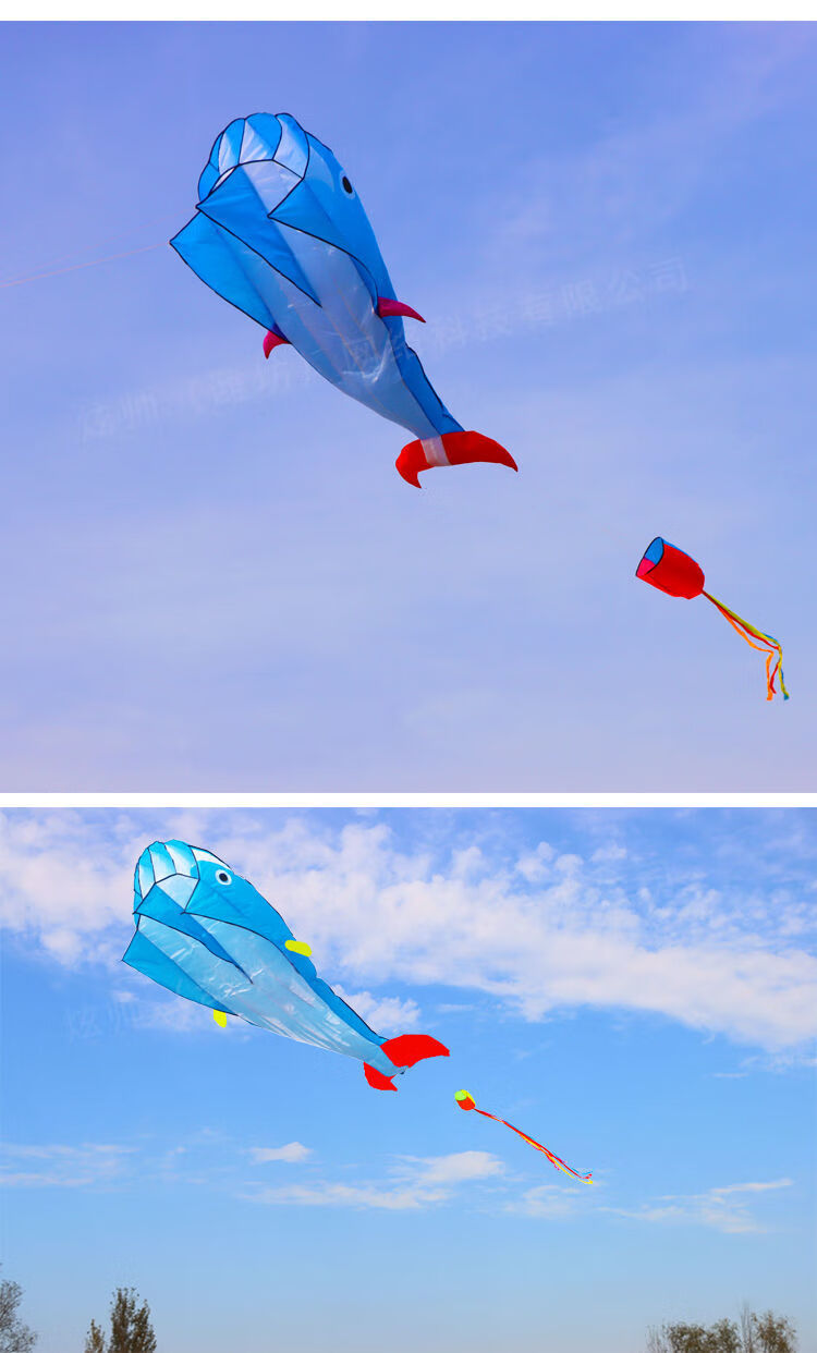 潍坊软体鲸鱼风筝新款海豚金鱼3d立体大人大型好易飞儿童风筝 蓝色彩