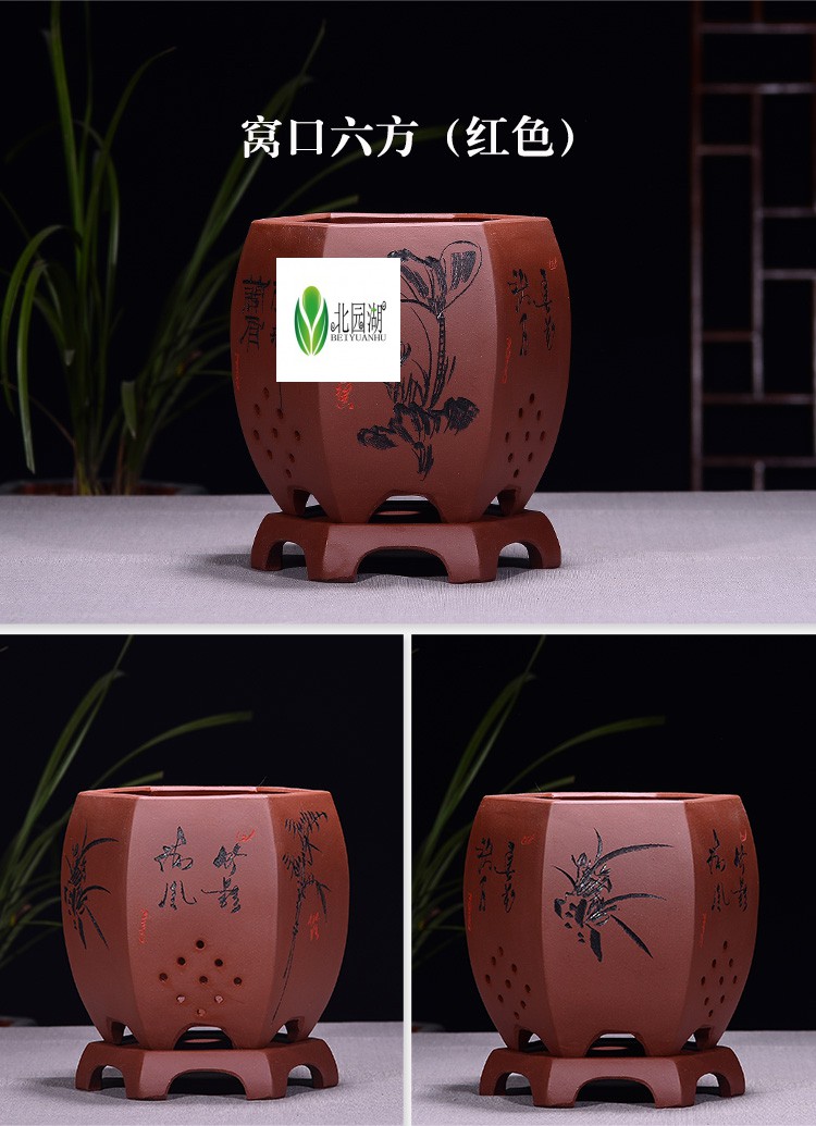 紫砂花盆兰花盆君子兰盆文竹兰草花盆带托盘简约透气植物陶瓷花盆 直