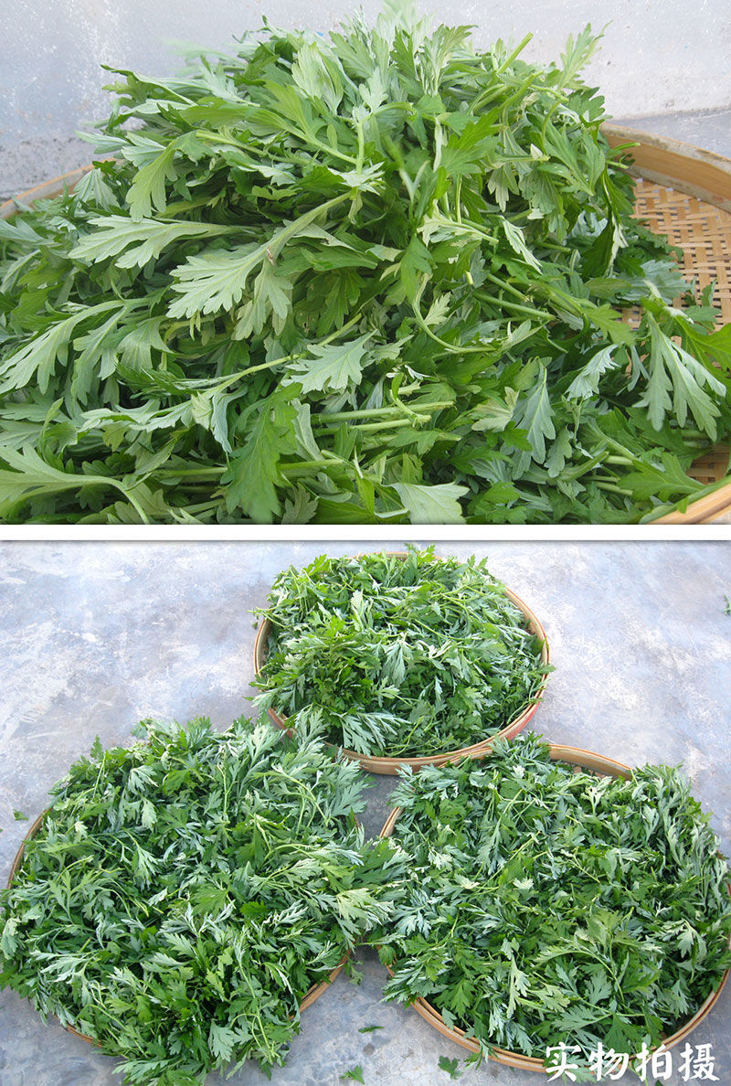 艾草新鲜食用青团艾糍粑野生清明果嫩艾叶艾蒿艾米果现摘应季2斤装干