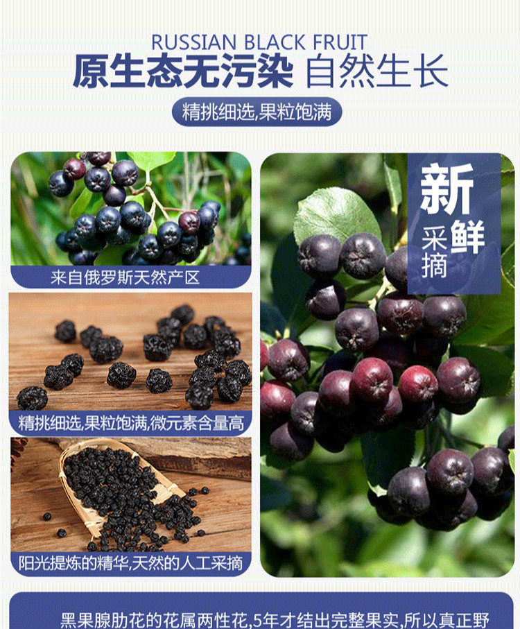 俄罗斯黑果300g小黑果花楸果天鹅绒果进口