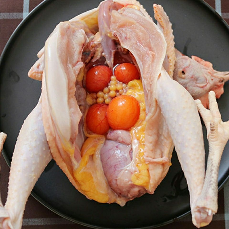 散养两年老母鸡土鸡笨鸡草鸡鸡跑山鸡走地鸡柴鸡鸡肉整鸡 鲜琛觅 现杀