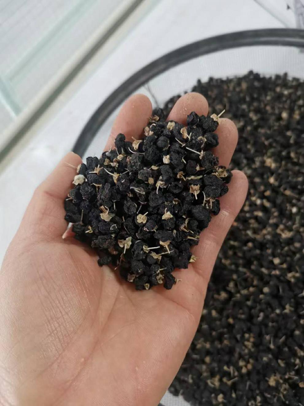 新疆野生天然头茬免洗无添加罐装自然风干黑枸杞500g