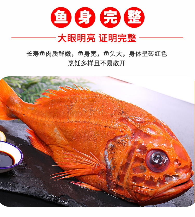 贵州长寿鱼图片