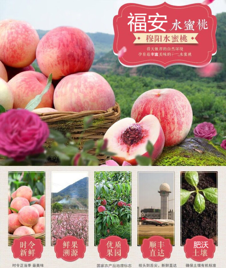 更多参数>>类别:桃品种:水蜜桃货号:231937商品毛重:1.