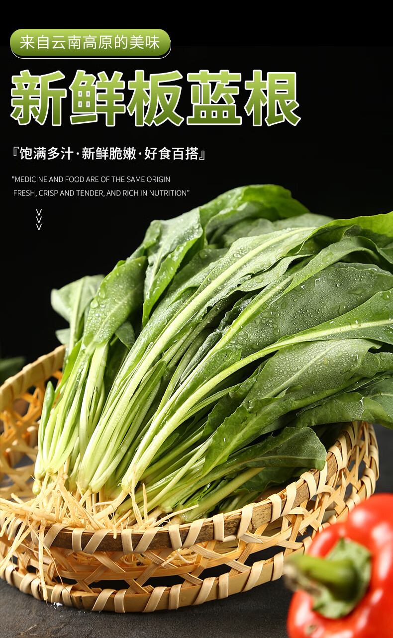 蔬菜板蓝根1斤装】新鲜蔬菜带根板蓝根叶云南当季时令蔬菜 500g【图片