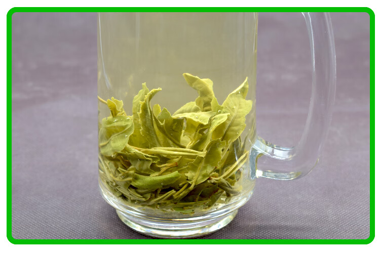 顶济堂 春尖 春尖茶叶甘肃2021年天水定西临夏煮罐罐茶散装500g兰州