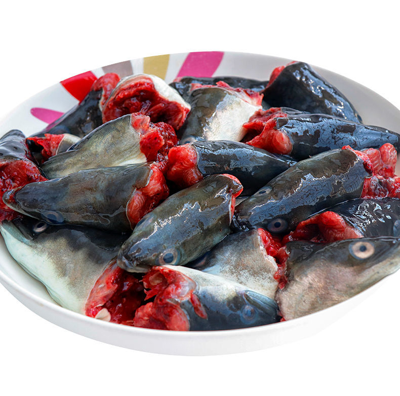 福建海鱼海鲜新鲜鳗鱼头乌耳鳗鲜活黑鳗鱼头潮汕特产白鳝头河鳗头 1斤