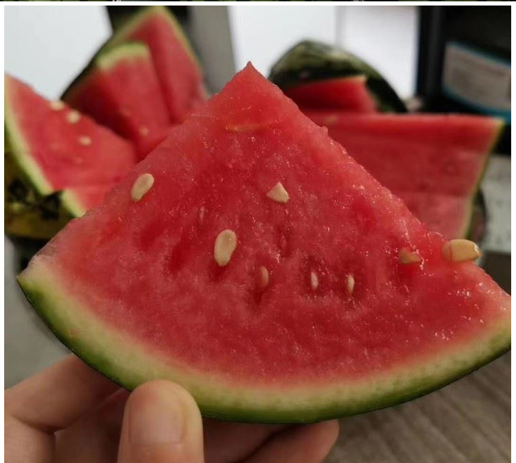 【顺丰空运-多地隔日达】甘美战神西瓜麒麟瓜 无籽海南甜西瓜新鲜水果