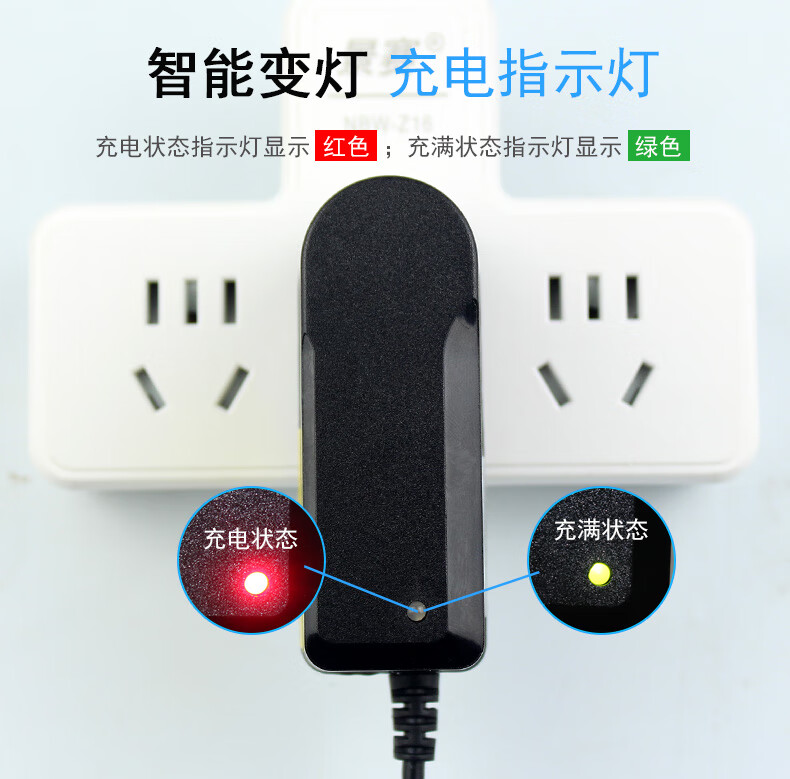 儿童电动汽车充电器6伏12v1a圆孔好来喜童车宝宝玩具遥控车好孩子四轮