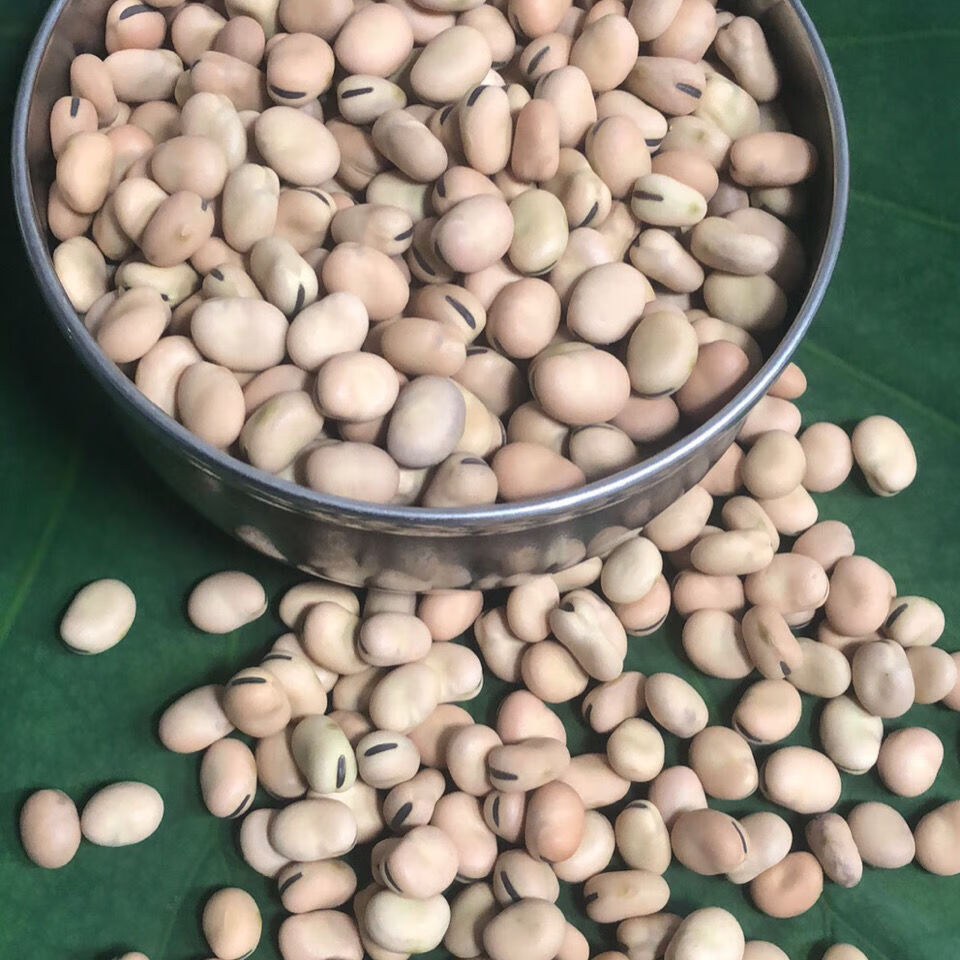 湖北小籽干蚕豆农家自种小罗汉豆青胡豆新鲜发芽蚕豆种子干货2斤装