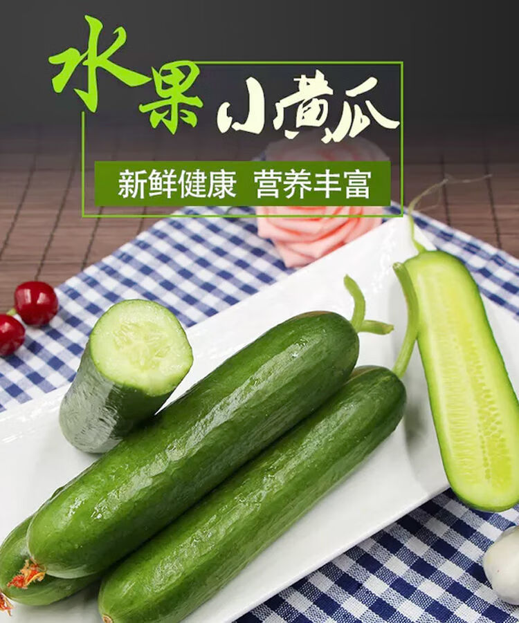 山东水果黄瓜新鲜现摘现发清甜脆爽无刺小青瓜生吃黄瓜5斤装