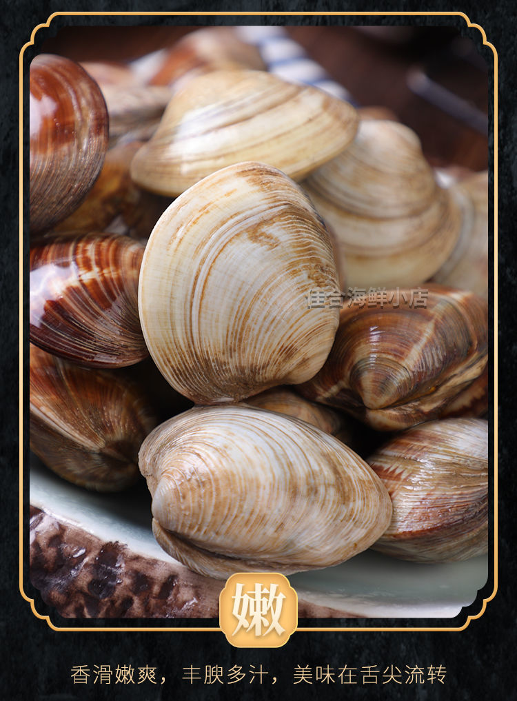 鲜活蛤蜊无沙花甲鲜活批发美贝鲜活文蛤海鲜水产坏单包赔贝壳活物大个