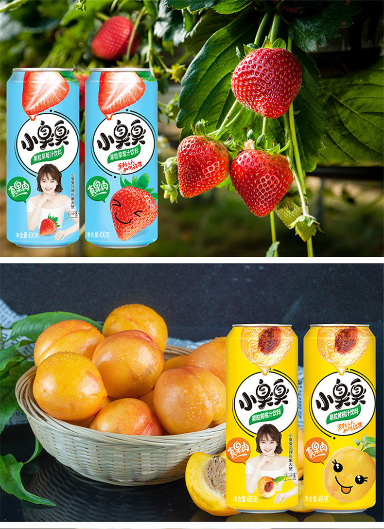 小臭臭果粒饮料490g罐果汁含量20新鲜好喝饮品草莓味490g买21