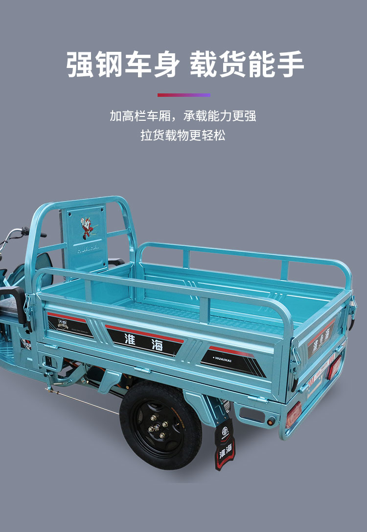 淮海电动三轮车拉货天雷货车载重王家用小型载货电瓶车天雷1501100w