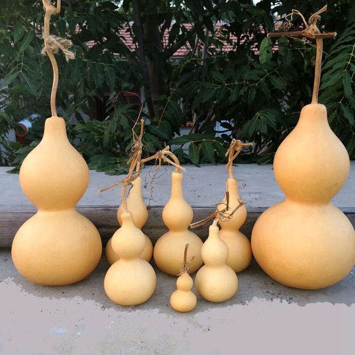 天然葫芦龙头挂件摆件风水天然葫芦挂件大中小 葫芦摆件(送中国节