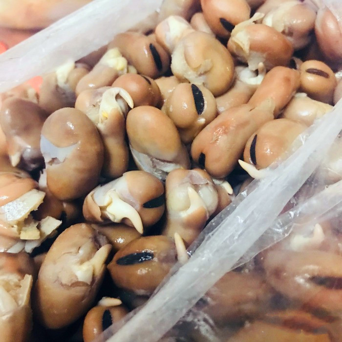 天津特产煮热乌豆十三香水煮蚕豆毛豆花生下酒菜煮果仁真空500克sn