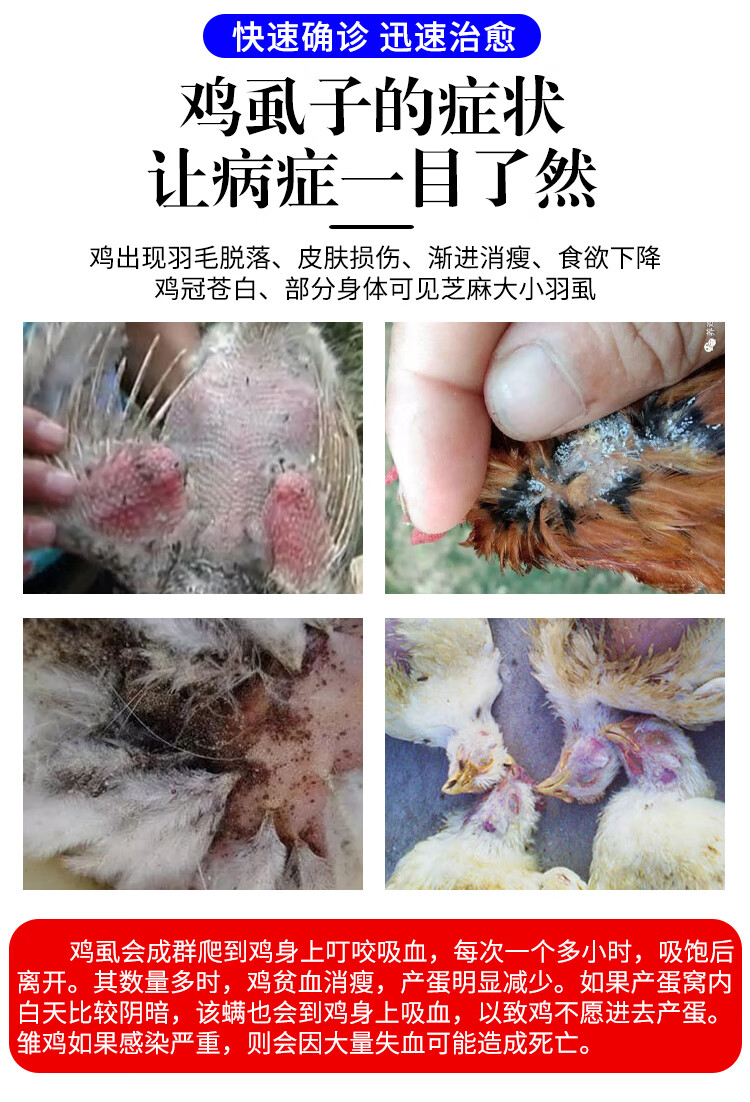 鸡虱子药鸡虱净鸭鹅体外驱虫跳蚤虱子虫第五代加强鸡虱子药杀虫剂鸡虱