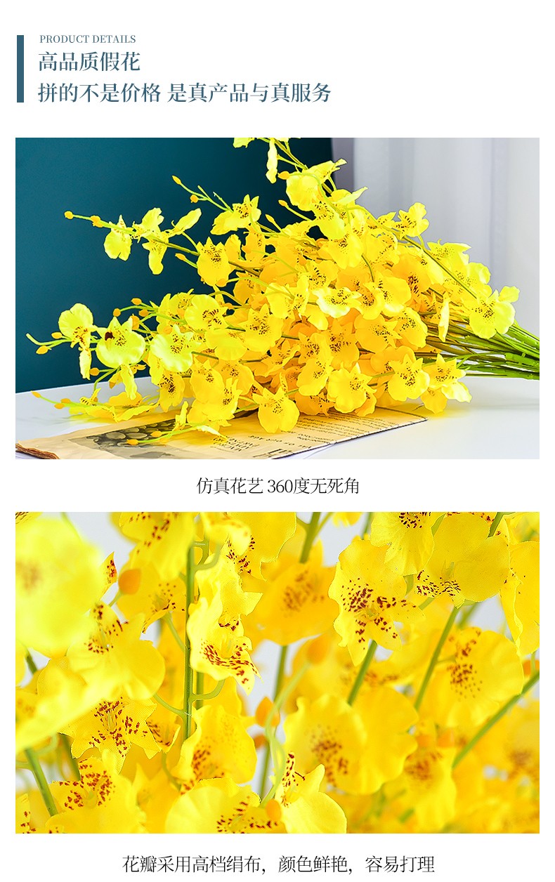 8支跳舞兰(短款50cm)(不含瓶)【图片 价格 品牌 报价】-京东