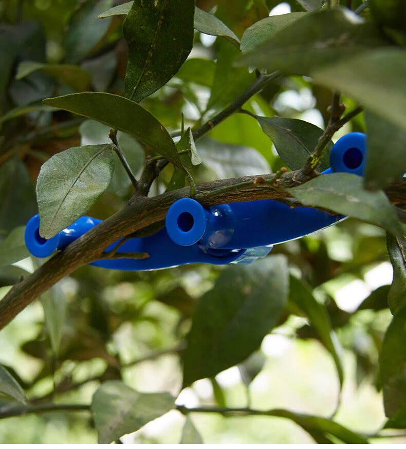 盆景拿弯器果树拉枝定型器树枝弯枝夹盆栽压枝造型制作工具 易定形5个