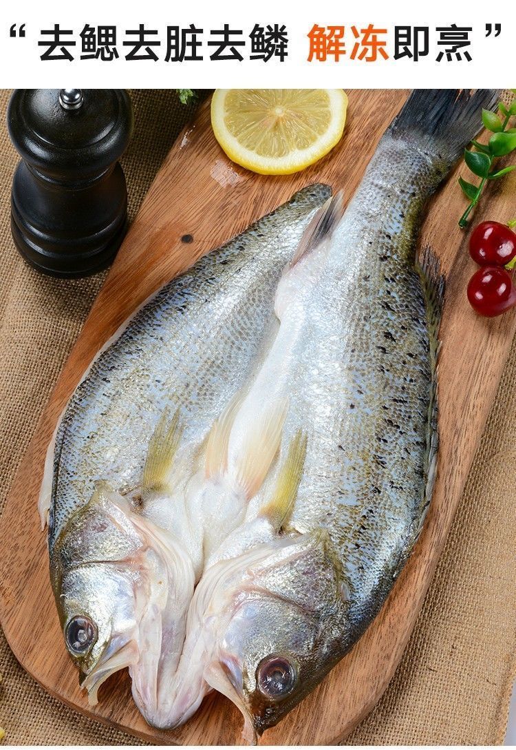 鲈鱼新鲜开背海鲈鱼深海海捕去鳃去内脏速冻海鲜香妮曼特鲈鱼每条500