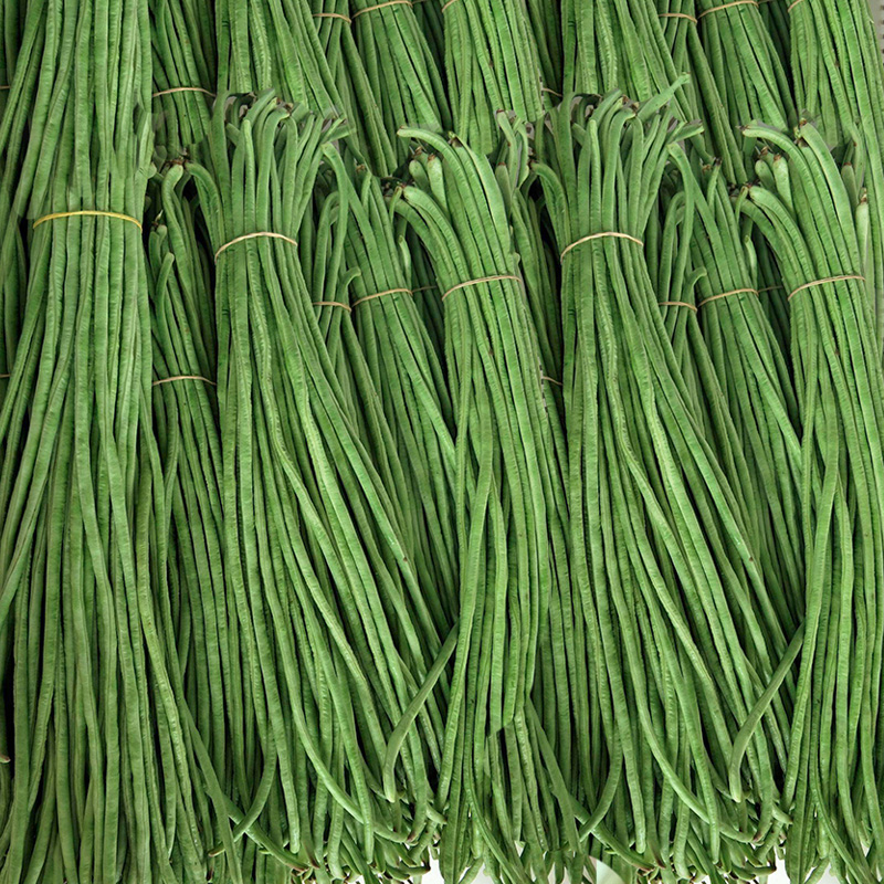 新鲜长豇豆菜豆角新鲜蔬菜3斤家菜吃货当季