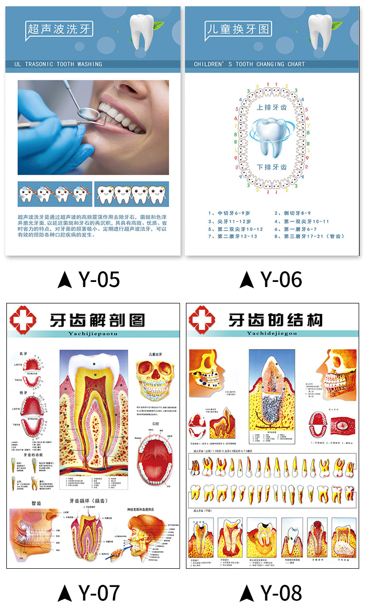 私弦牙科宣传图口腔知识挂图海报医院诊所墙贴烤瓷牙美牙广告装饰挂画