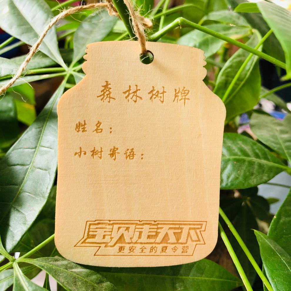 50片定做木吊牌植树挂牌手写心愿许愿牌寺庙祈福牌小木板心愿瓶50片