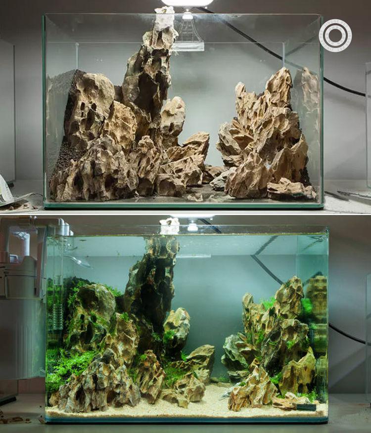 松皮石造景石头鱼缸天然装饰小块多孔假山水草缸成品骨架峡谷套餐切底