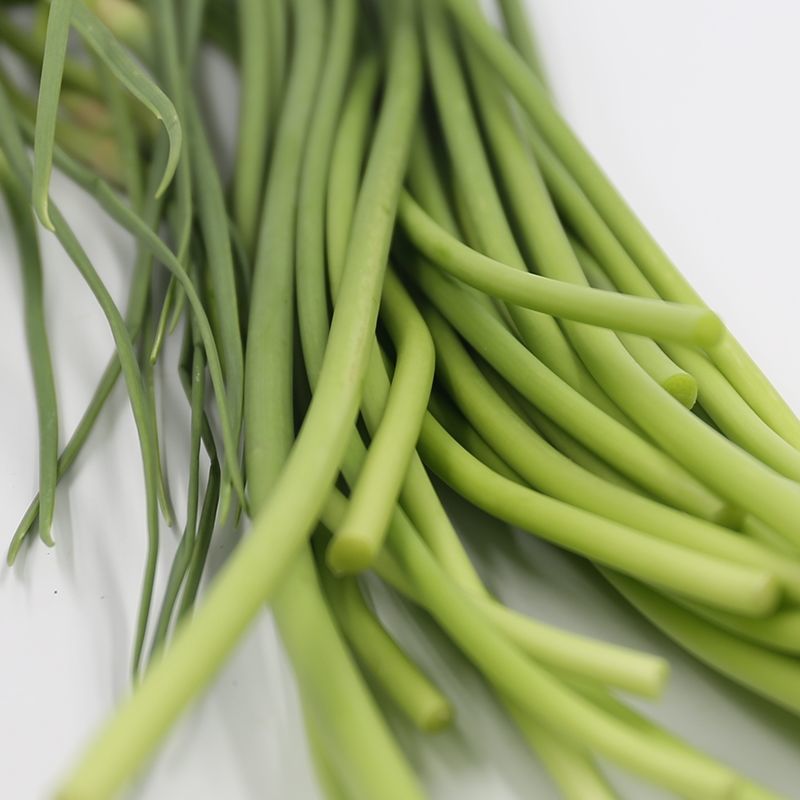 新鲜蒜苔新鲜嫩蒜薹批发蒜薹短蒜苔鲜蒜苔苔3斤鲜嫩蒜薹