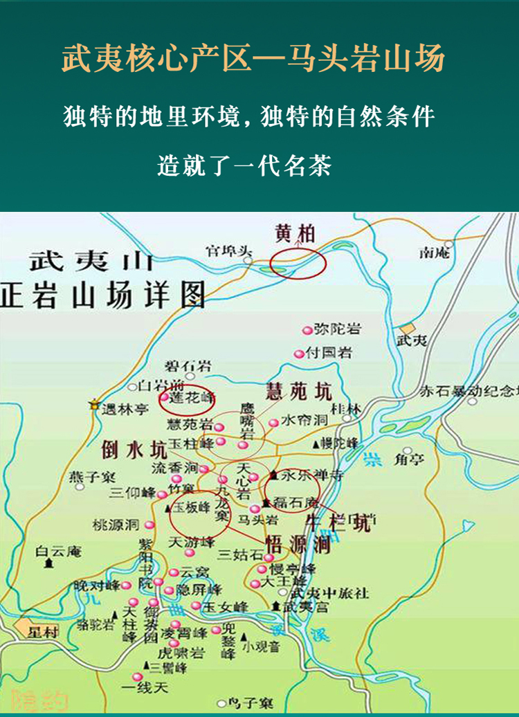 福建武夷山正岩马头岩肉桂茶叶果香礼牛栏坑肉桂茶500g 500g【图片