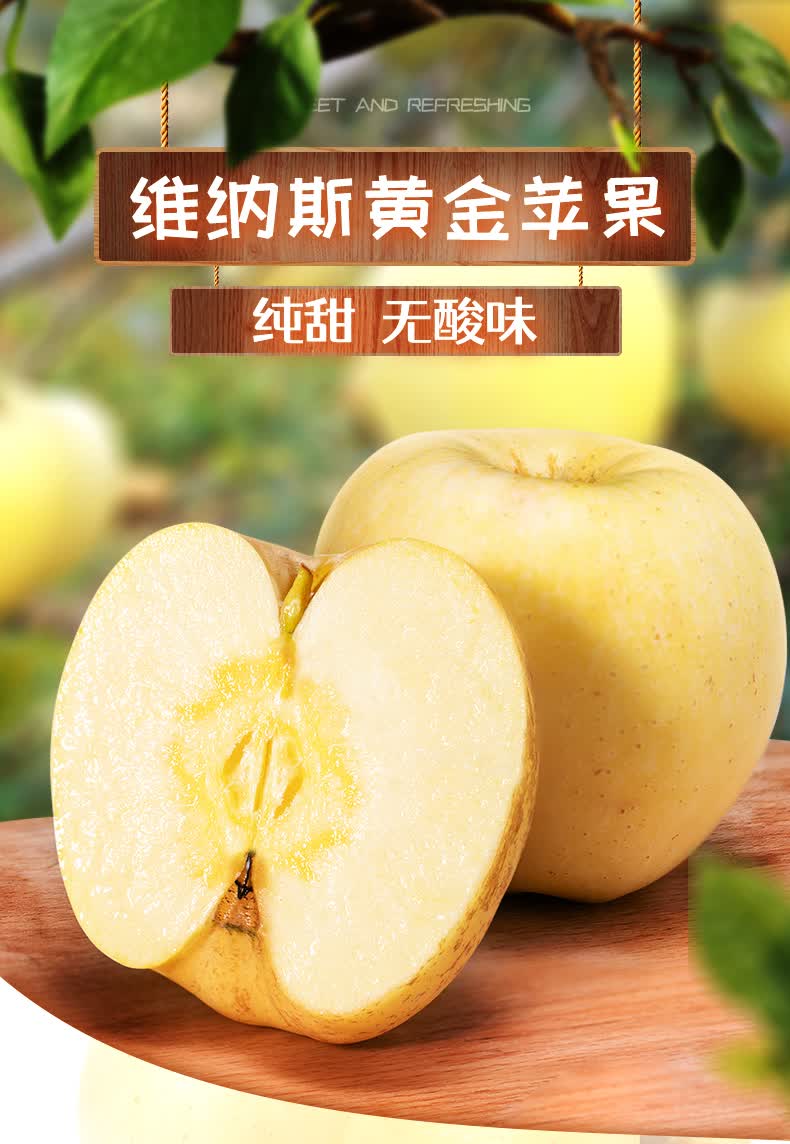 晶太太山东威海脆甜维纳斯黄金苹果富士苹果金苹果装现摘z80mm含85mm