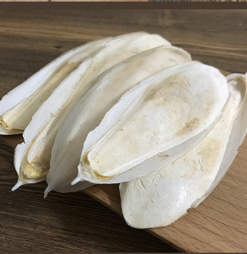 问善精选墨鱼骨批发整个海螵蛸乌贼骨大块鸟用龟用鹦鹉宠物磨牙鸟食补