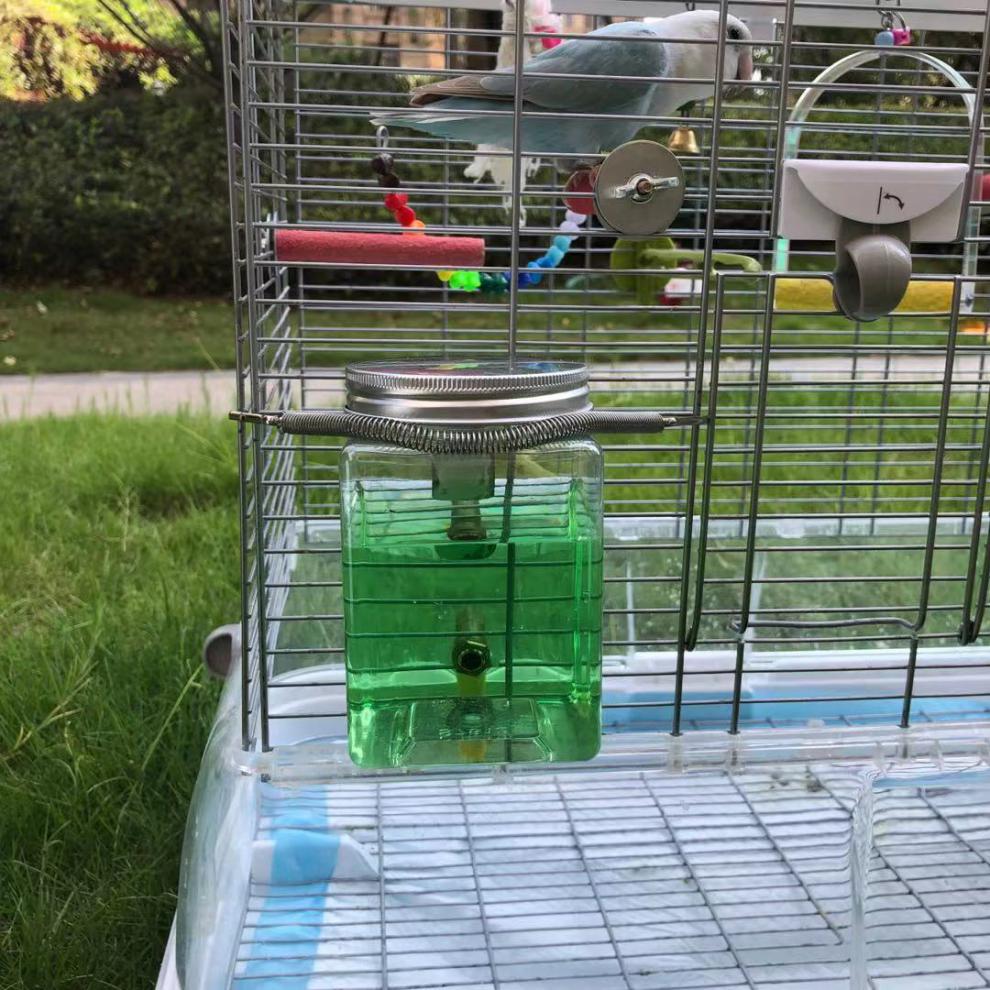 新款鹦鹉饮水器撞针撞针水壶饮水器宠物鹦鹉喝水器噬菌体搭配饮水器