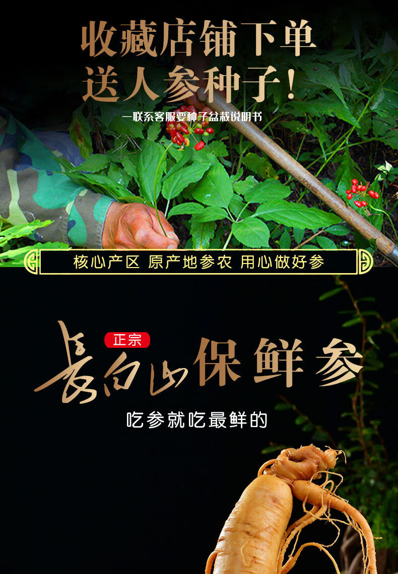 老参王新鲜人参长白山鲜人参保鲜参泡酒煲汤东北吉林批发十年参毛重