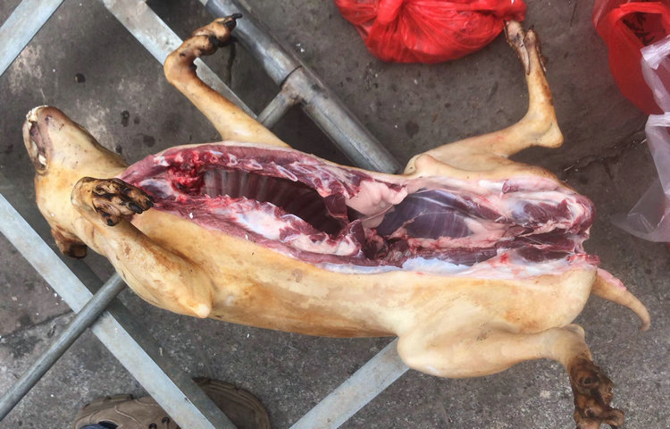 农家狗腿新鲜土狗子狗火锅 2kg