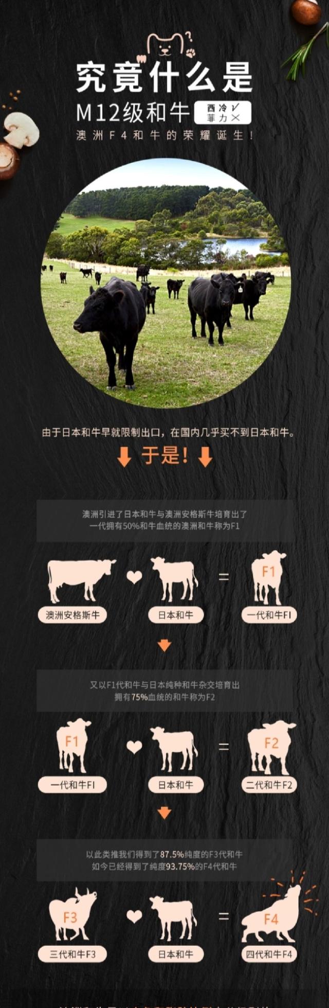 澳洲纯种m12 西冷牛排引进日本神户牛肉a 5霜降雪花和牛 图片价格品牌报价 京东 澳洲纯种m12 西冷牛排引进日本神户牛肉a 5霜降雪花和牛 图片价格品牌报价 京东