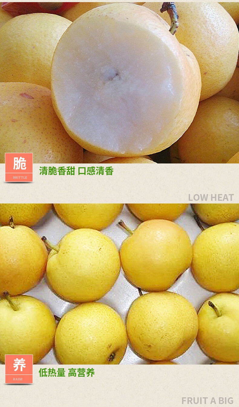 朵蕙 正宗小香水梨新鲜5斤东北特产水果当季酸甜多汁梨子 3斤 中果