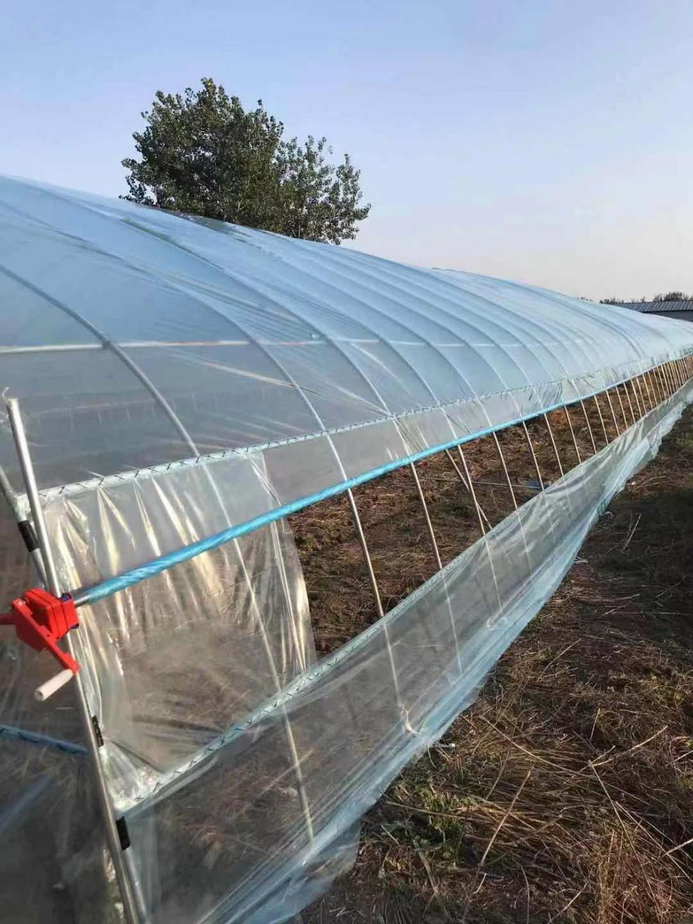 梦凡尘抗老化无滴膜整卷大棚塑料膜保温大棚农用薄膜蔬菜瓜果葡萄专用