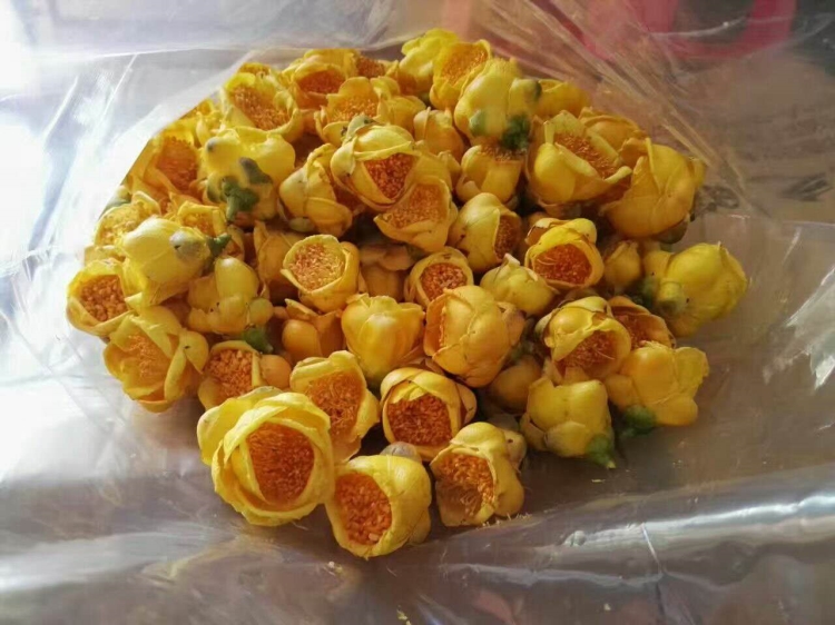 广西特产特级防城港金花茶冻干花25g玻璃瓶装礼盒【图片 价格 品牌