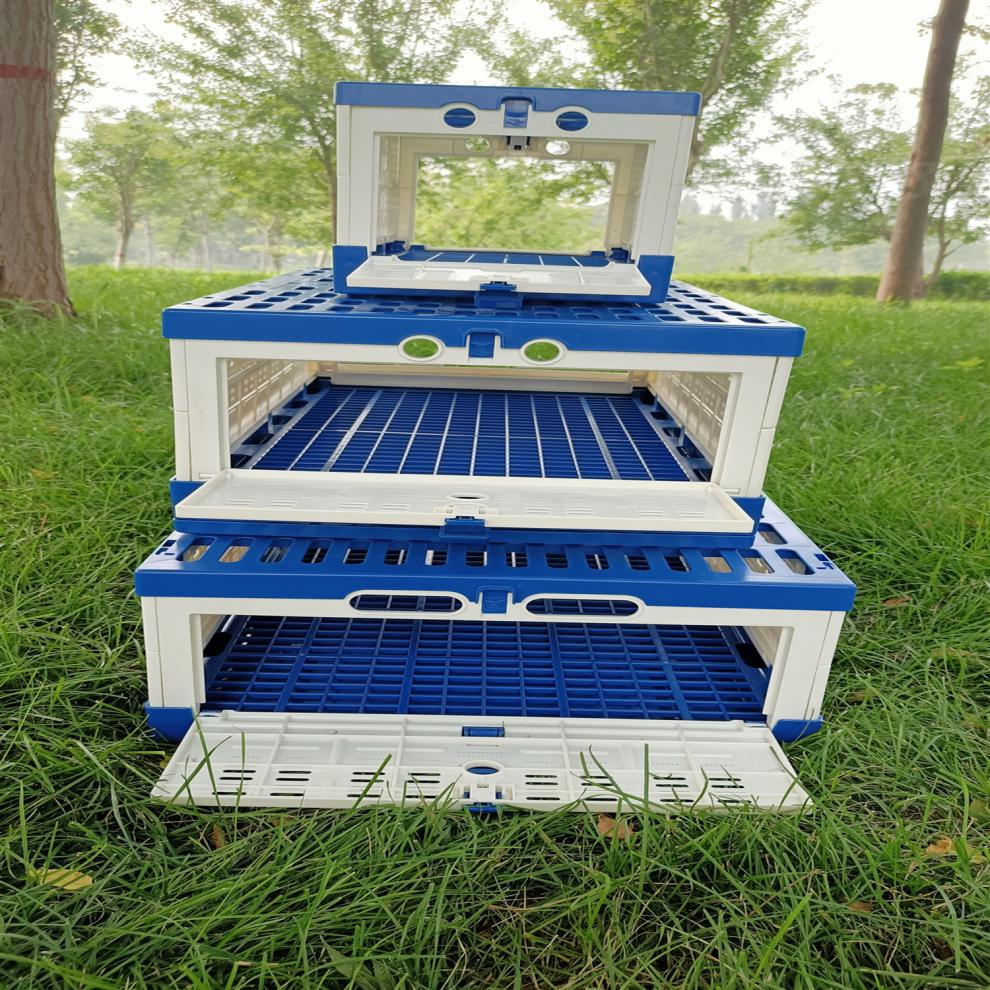 家恒宝鸽具信鸽用品折叠笼鸽子集训笼信鸽训放笼放飞笼打比赛鸽笼 仿