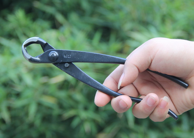 球节剪球形剪树瘤树节修剪钳盆景工具制作养护盆栽工具b12球节剪200mm