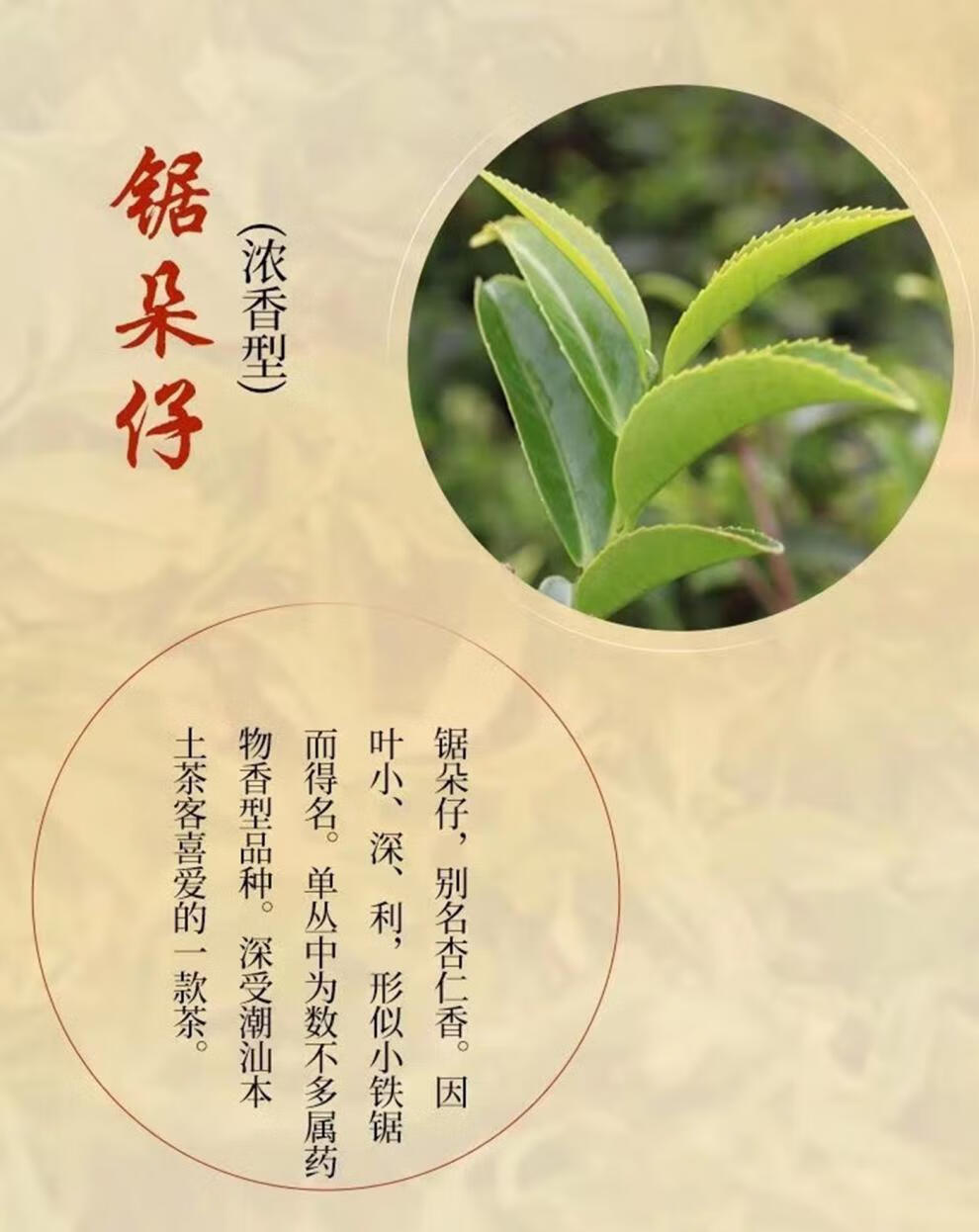 乌龙茶潮州茶叶批发乌岽单丛锯朵仔500g 雪片【中火】500g【图片 价格
