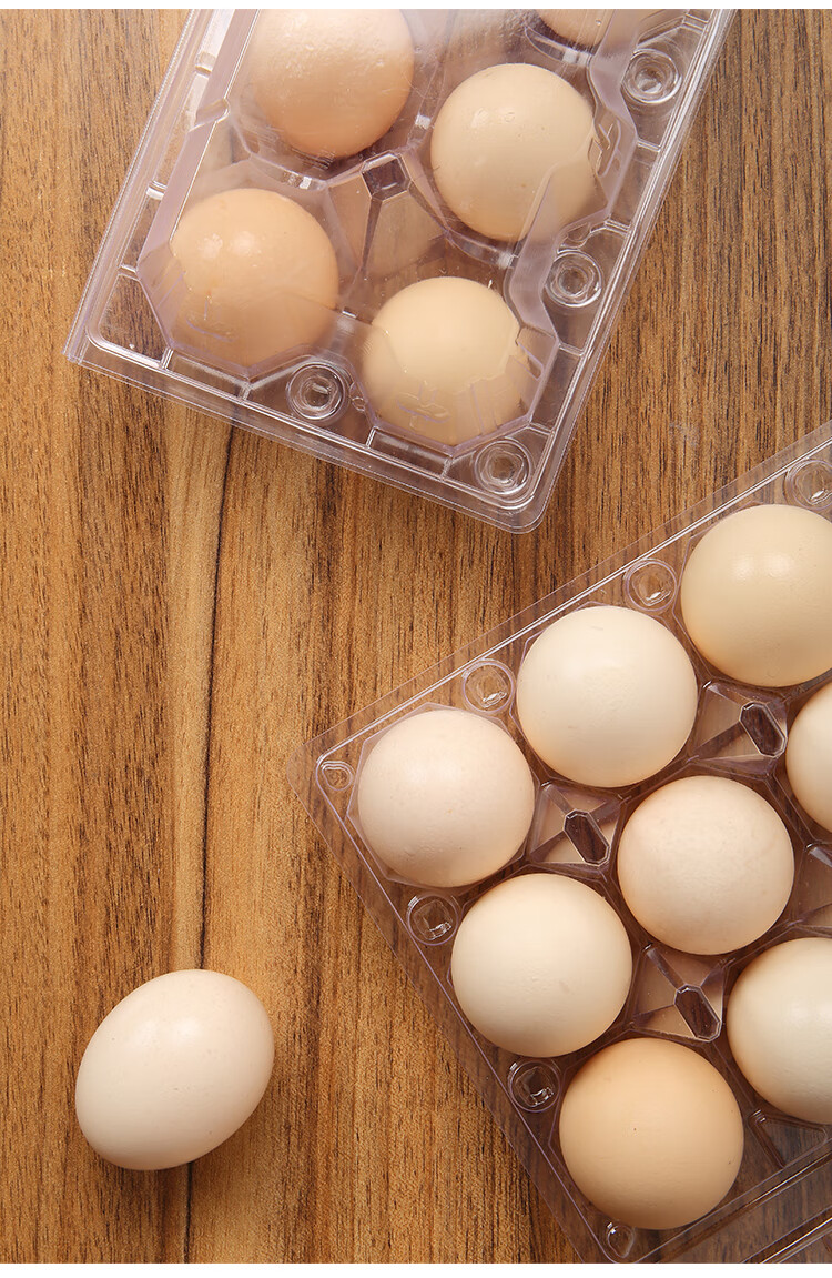 10枚中号蛋托10个【图片 价格 品牌 报价】-京东