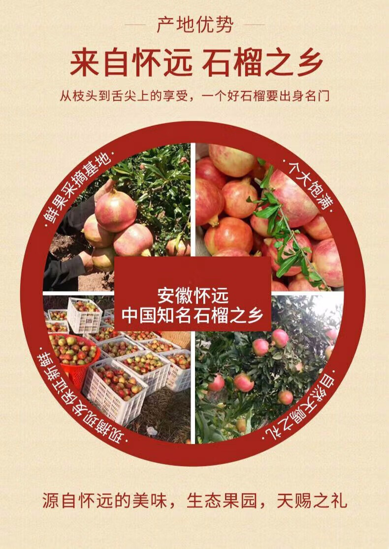 顺丰 突尼斯软籽石榴 怀远白玉石榴 礼盒装新鲜水果白无籽整箱大果甜
