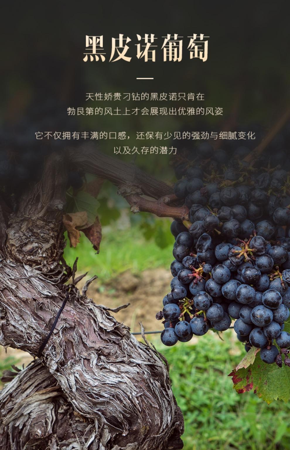 法国原瓶进口小瓶红酒aoc礼盒勃艮第黑皮诺干红葡萄酒单支187ml187ml