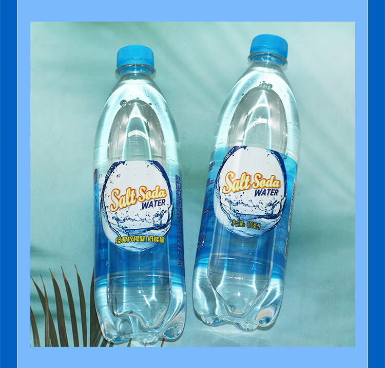 盐汽水 正广和盐汽水 雪菲力盐汽水 碧纯盐汽水600ml整箱饮料 盐汽水