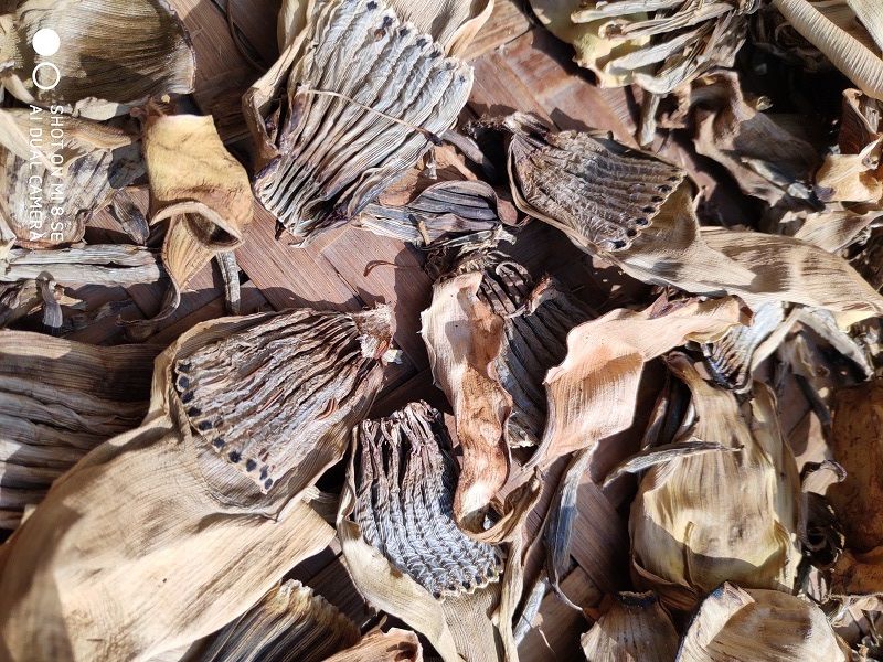 富润世 芭蕉花干云南西双版纳干芭蕉花芭蕉衣 干芭蕉用200g()【图片