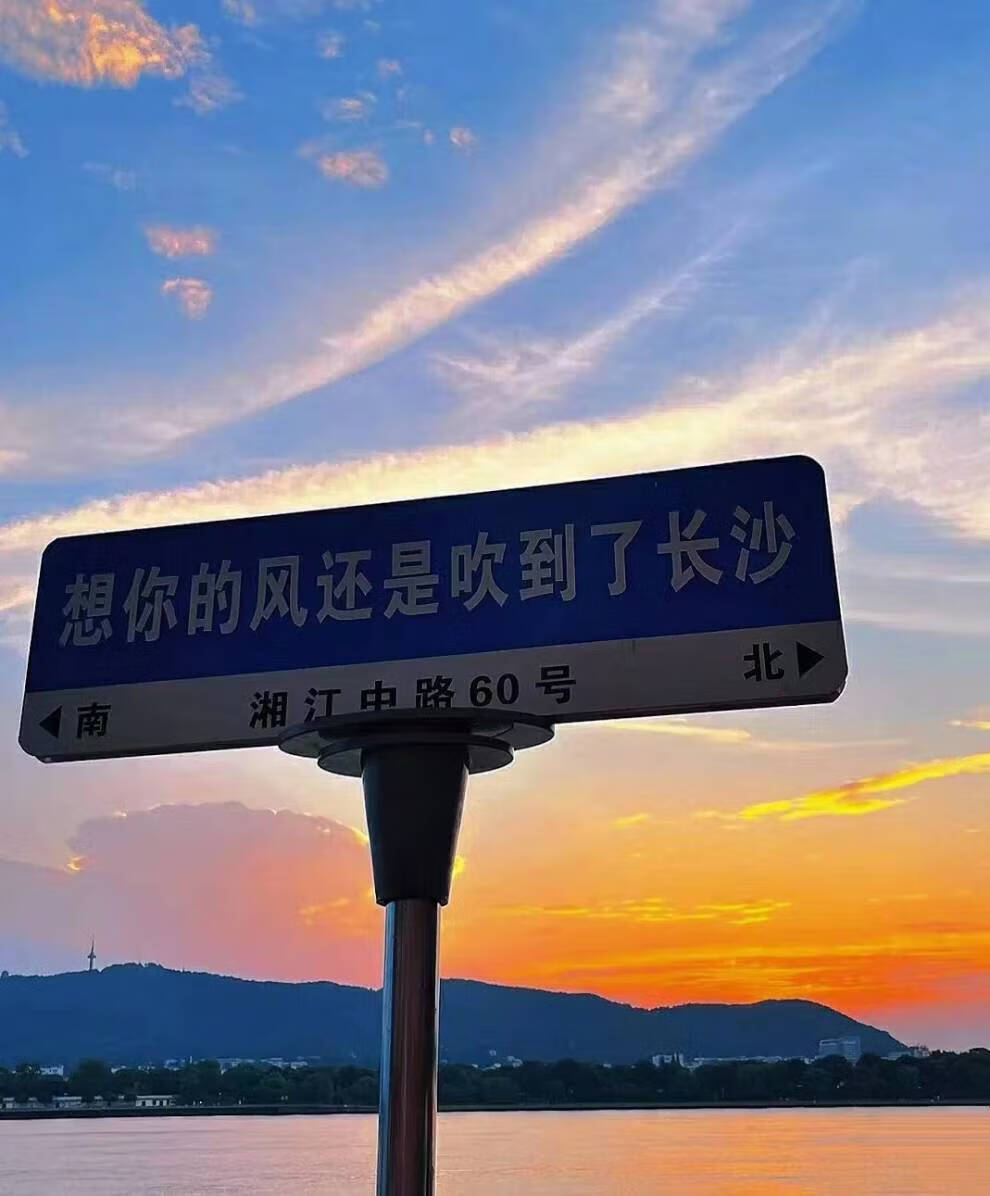 网红打卡指路牌 路名牌定制双向t型立式街道指路牌乡村道路托盘网红